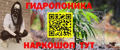 тгк Свободный