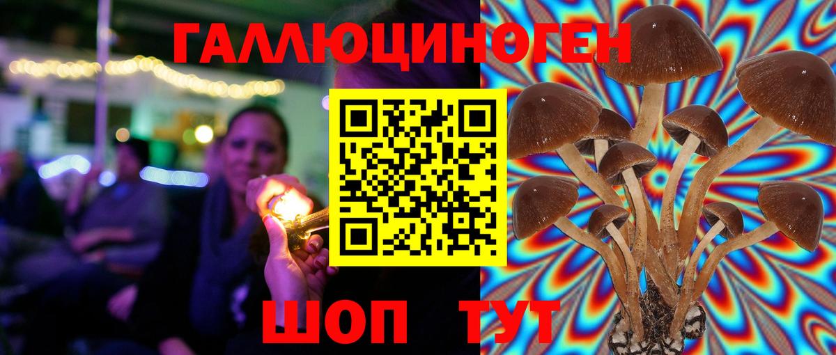 Псилоцибиновые грибы MAGIC MUSHROOMS Новотроицк