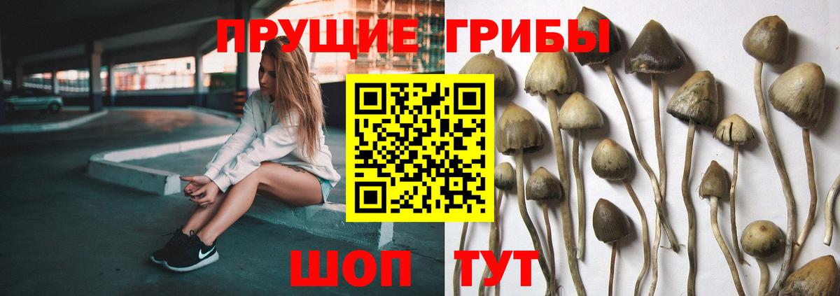 Новотроицк  Галлюциногенные грибы GOLDEN TEACHER  Вход с VPN 