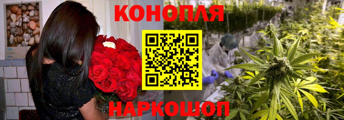 Шишки марихуана LSD WEED Новотроицк